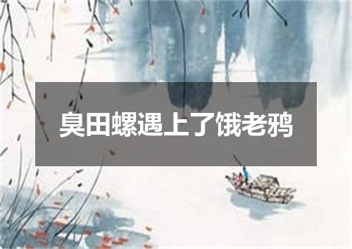 臭田螺遇上了饿老鸦