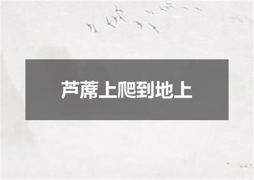 芦蓆上爬到地上