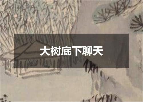 大树底下聊天