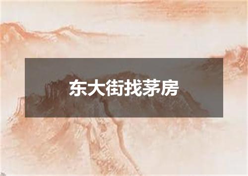 东大街找茅房