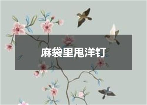 麻袋里甩洋钉
