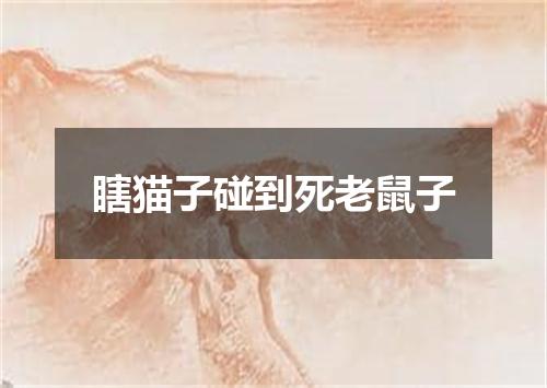 瞎猫子碰到死老鼠子