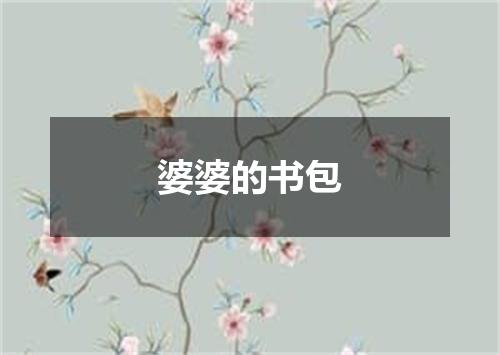 婆婆的书包