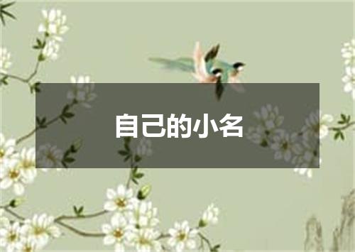自己的小名