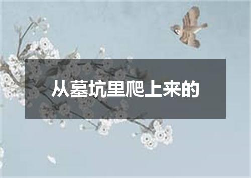 从墓坑里爬上来的