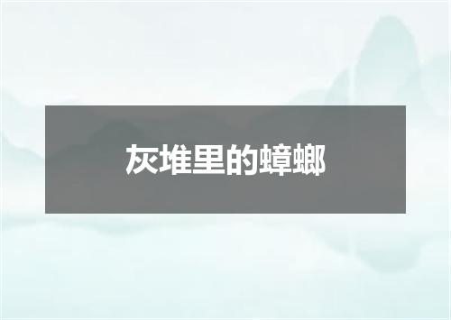 灰堆里的蟑螂