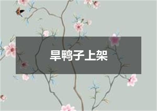 旱鸭子上架