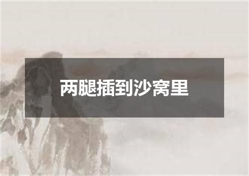 两腿插到沙窝里