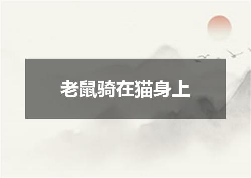 老鼠骑在猫身上