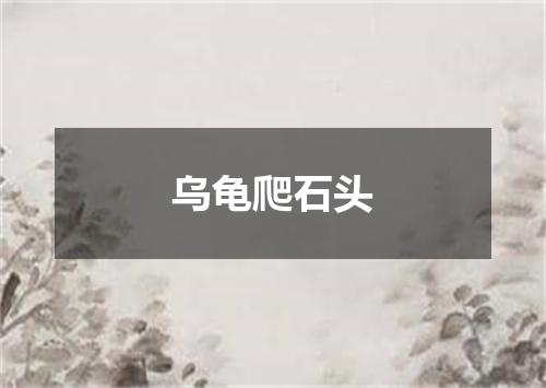 乌龟爬石头