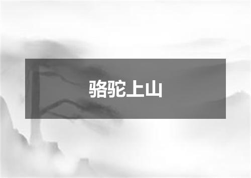 骆驼上山
