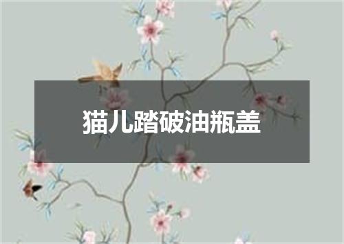 猫儿踏破油瓶盖