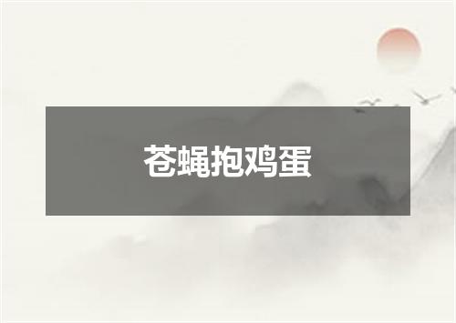 苍蝇抱鸡蛋