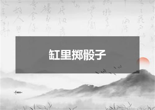 缸里掷骰子