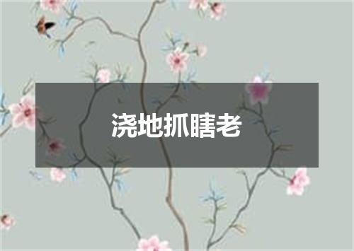 浇地抓瞎老