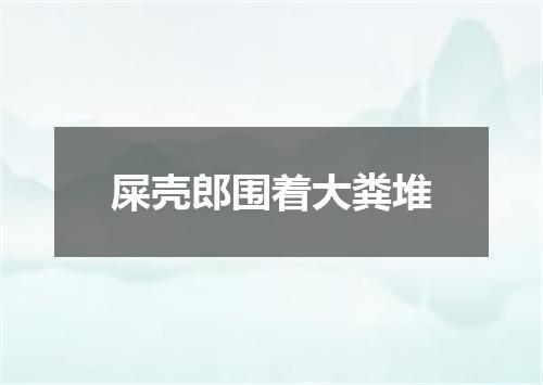 屎壳郎围着大粪堆
