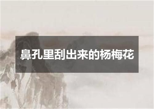 鼻孔里刮出来的杨梅花