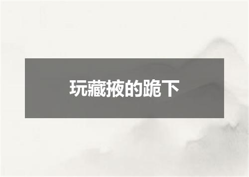 玩藏掖的跪下
