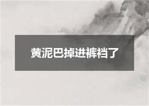 黄泥巴掉进裤裆了