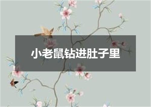 小老鼠钻进肚子里