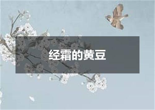 经霜的黄豆