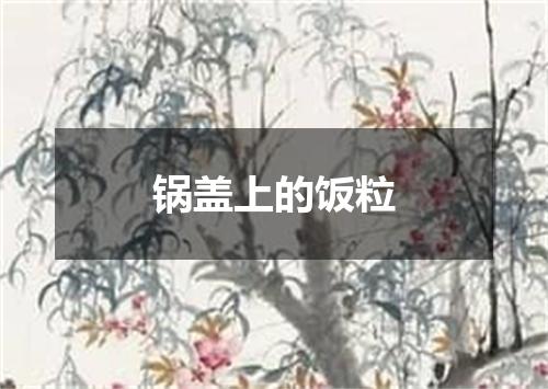 锅盖上的饭粒
