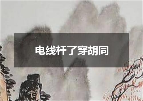 电线杆了穿胡同