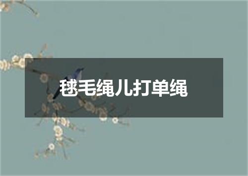 毬毛绳儿打单绳