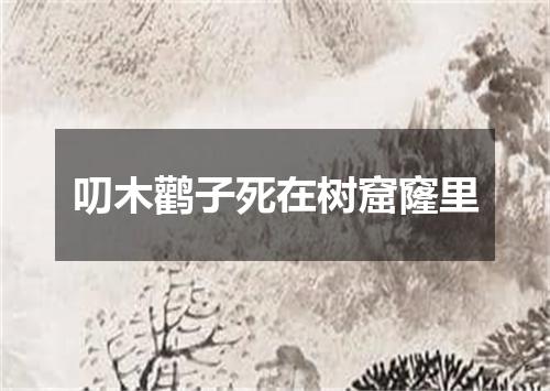 叨木鹳子死在树窟窿里