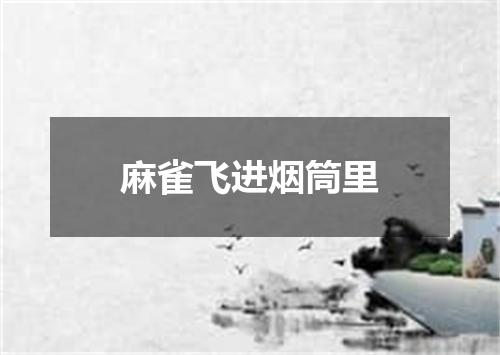 麻雀飞进烟筒里