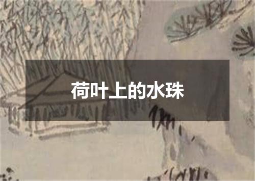 荷叶上的水珠