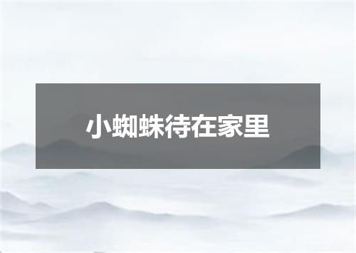 小蜘蛛待在家里