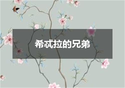 希忒拉的兄弟