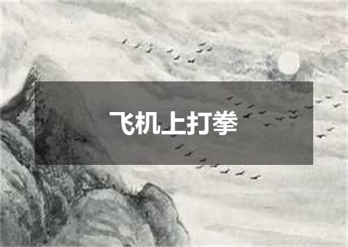 飞机上打拳
