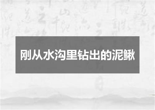 刚从水沟里钻出的泥鳅