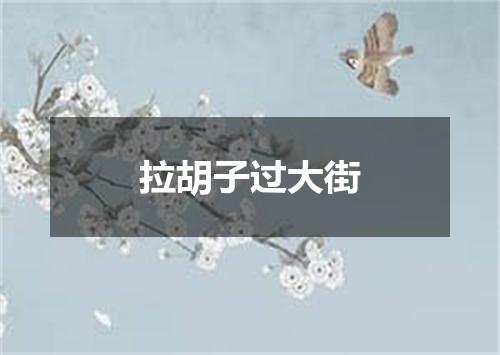 拉胡子过大街