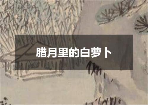 腊月里的白萝卜