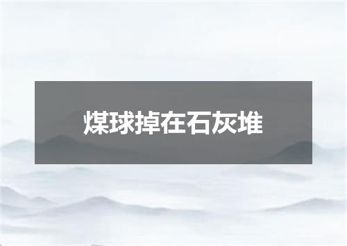 煤球掉在石灰堆