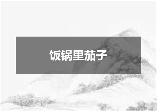 饭锅里茄子