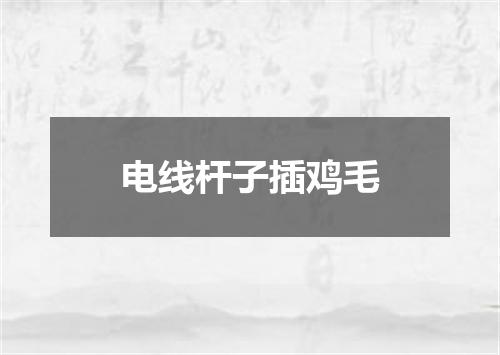 电线杆子插鸡毛