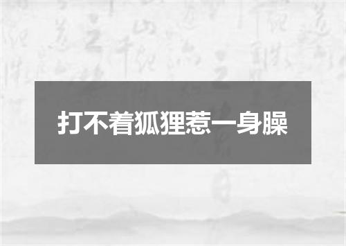 打不着狐狸惹一身臊
