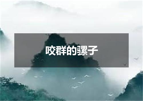 咬群的骡子