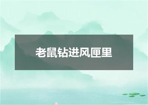 老鼠钻进风匣里