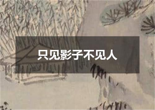 只见影子不见人