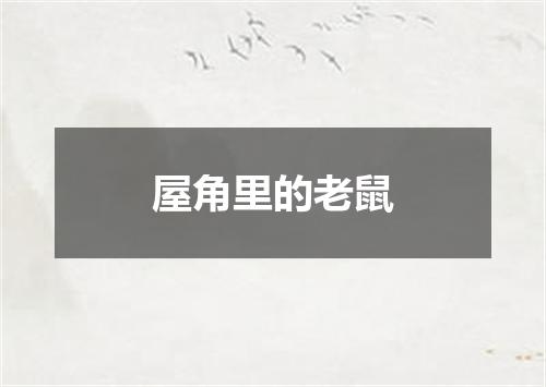 屋角里的老鼠