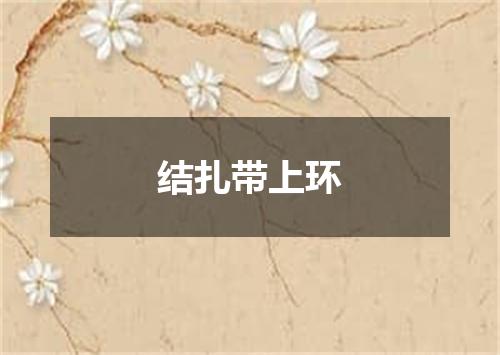 结扎带上环