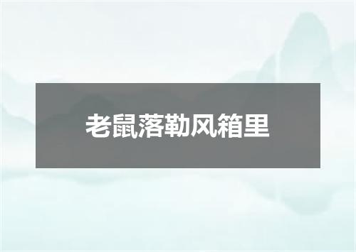 老鼠落勒风箱里