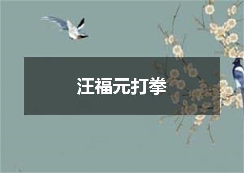 汪福元打拳