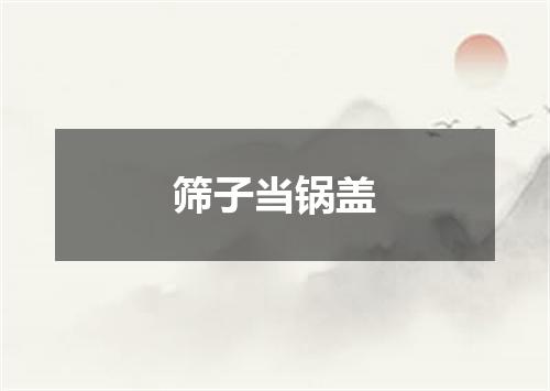 筛子当锅盖