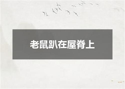 老鼠趴在屋脊上